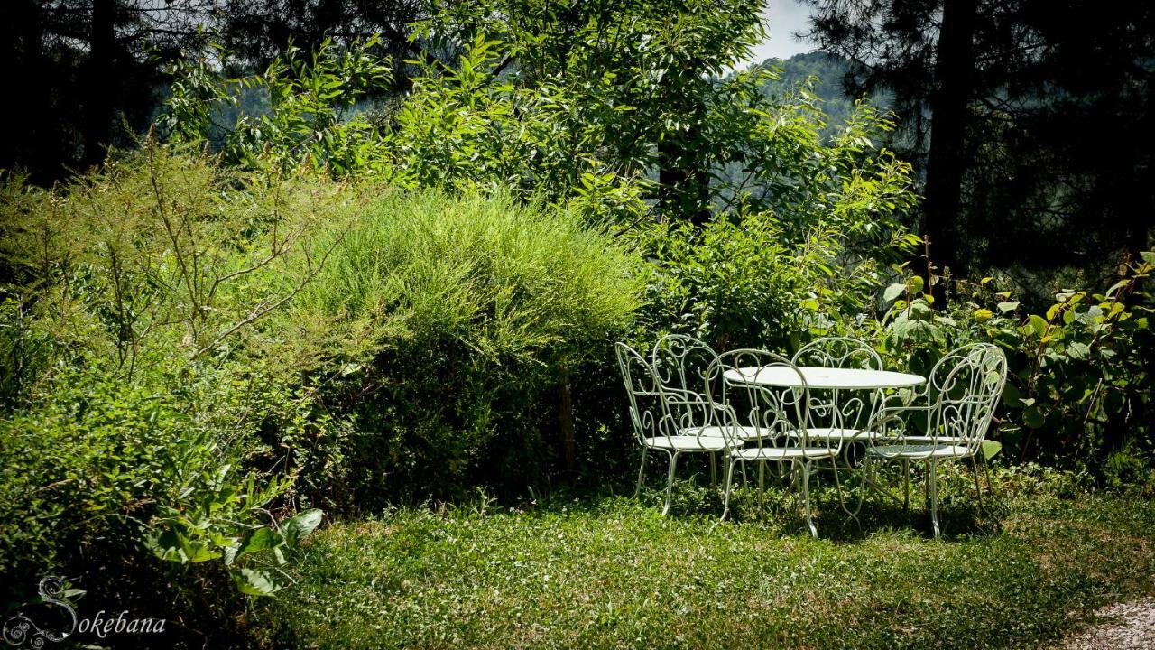Le Nid Des Anges Villa Saint-Andre-Lachamp Exterior photo